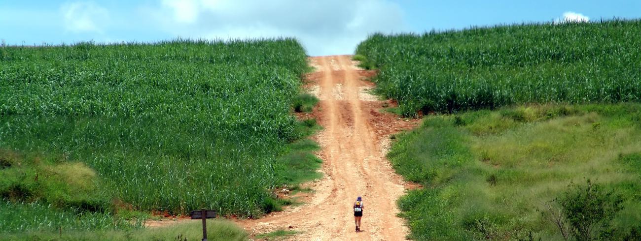 De Caminho da Fé © Wikipedia