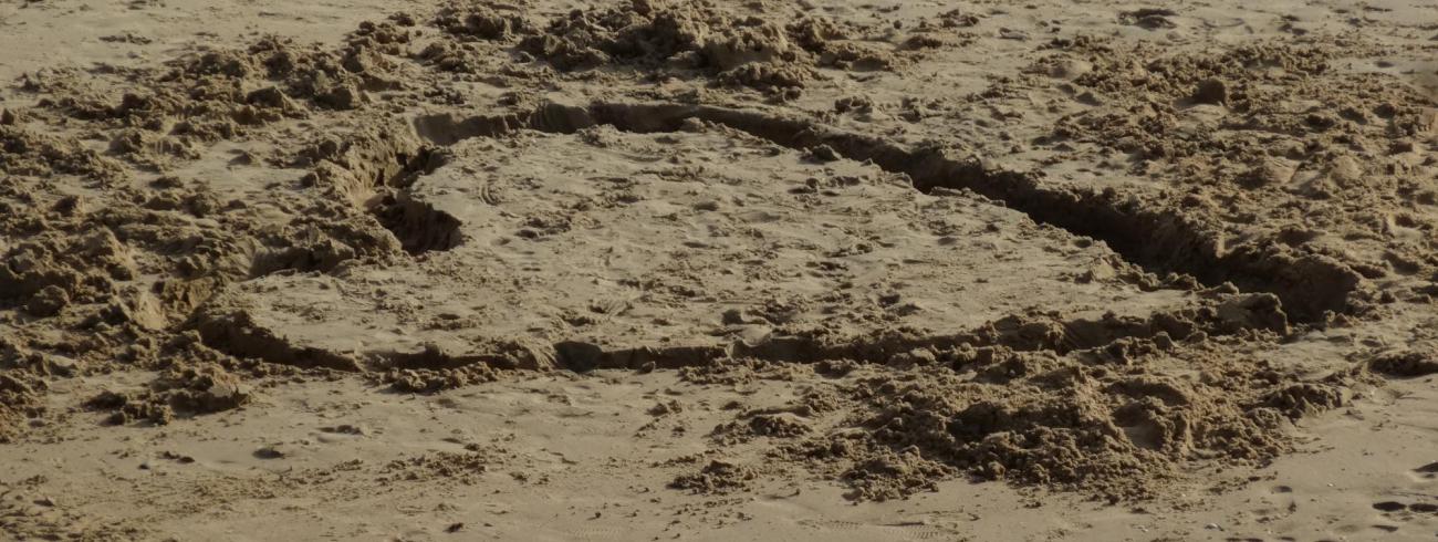 strand © Mia Verbanck
