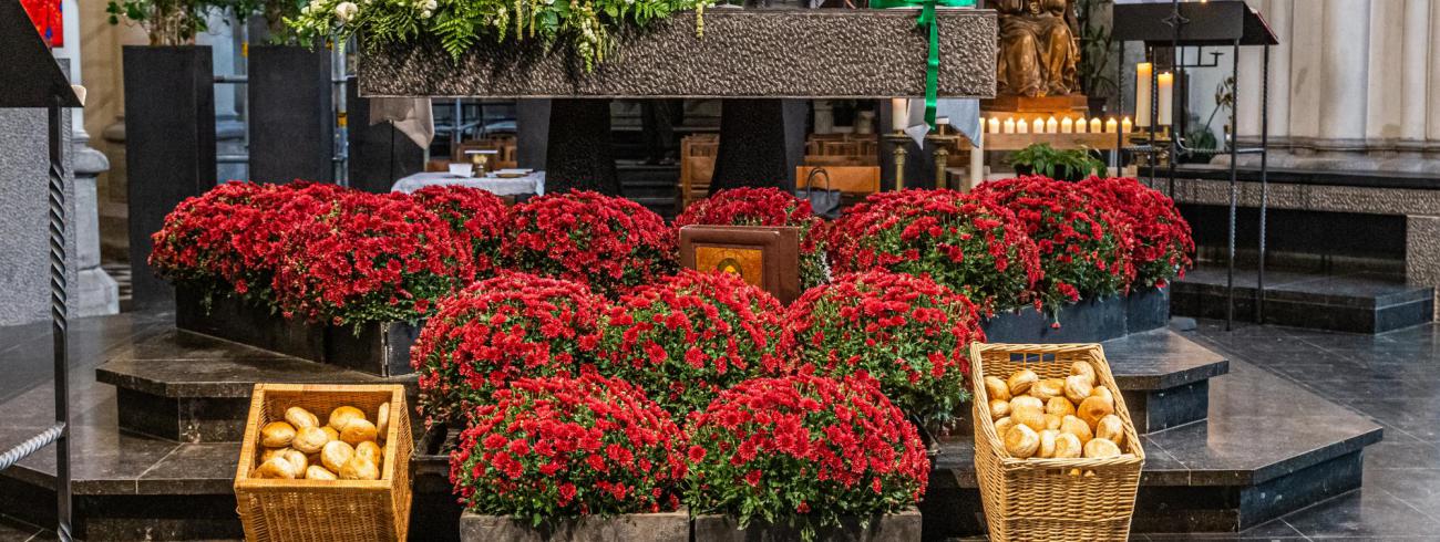 Dieren zegening-2807.jpg © Frans Verweft 
