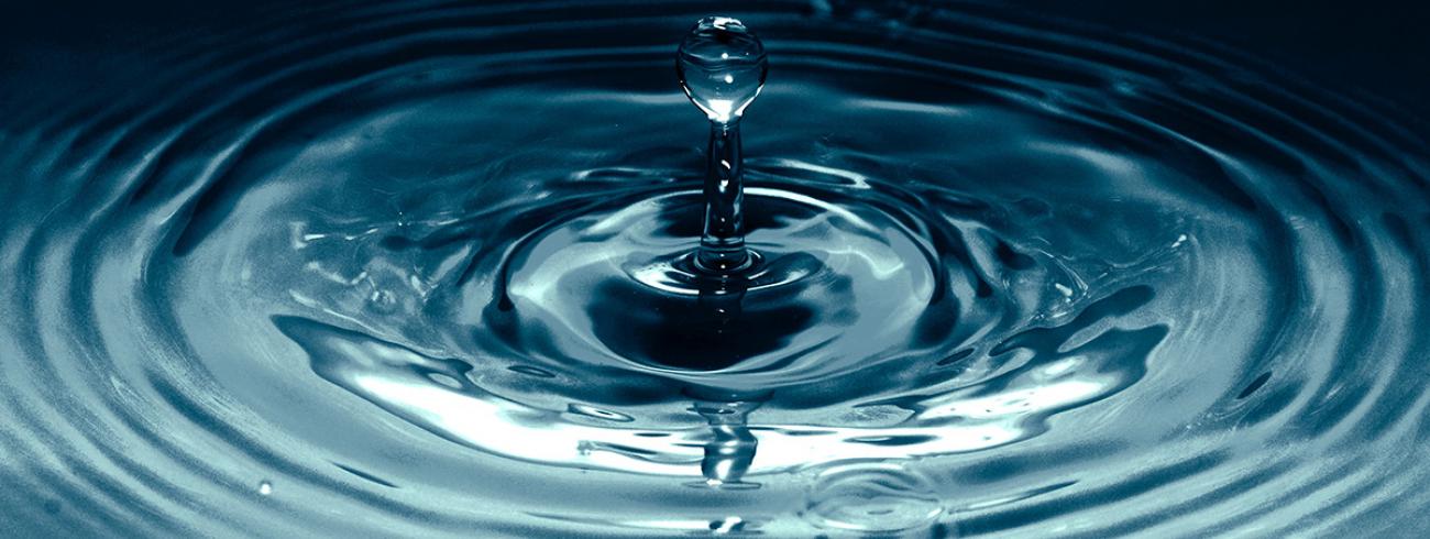 Wij dopen met water en Geest 