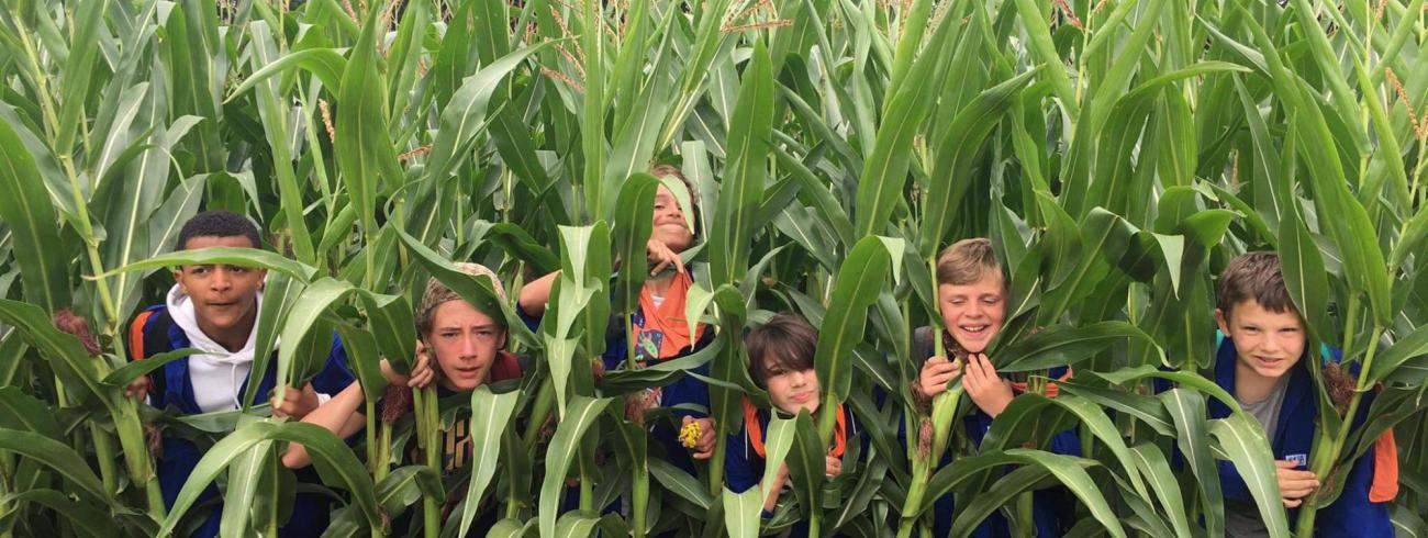 op kamp © KSA Groenenhoek