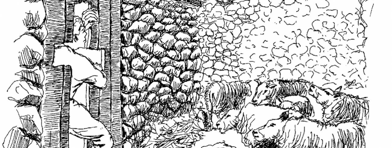De Goede Herder 