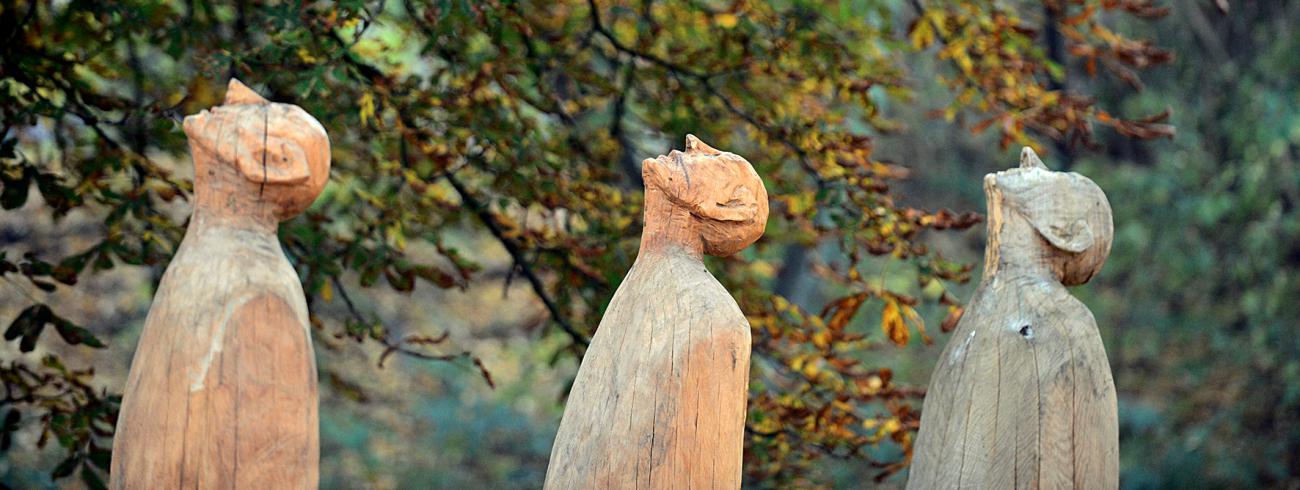 De blik naar de hemel gericht © picture-alliance (Image)
