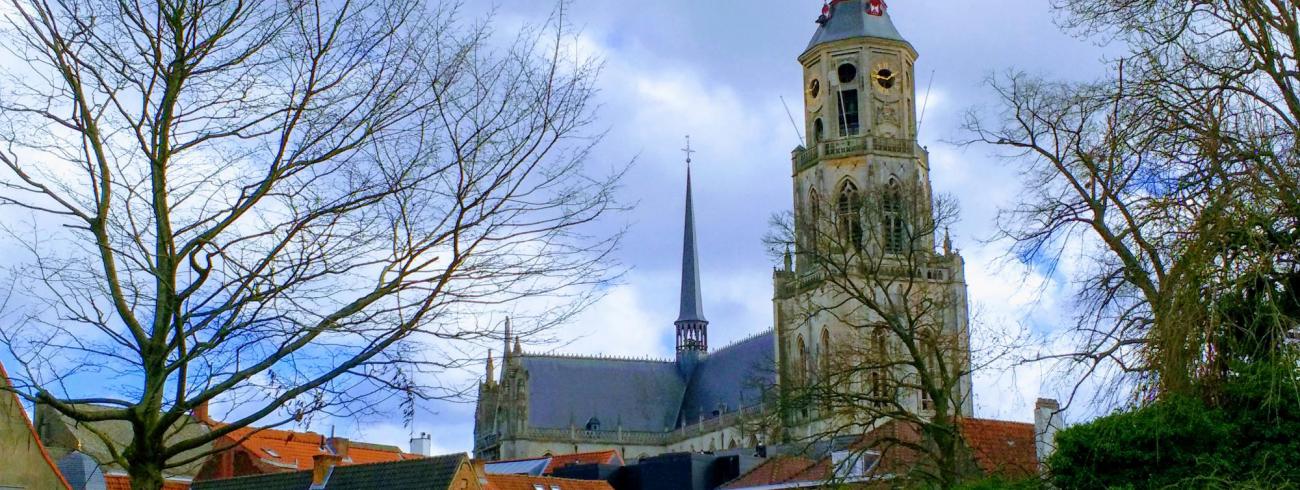 Sint-Gummaruskerk met vieringtoren © Nicole Claes