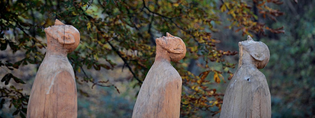 De blik naar de hemel gericht © Foto: picture-alliance (Image)