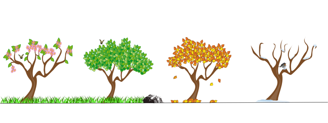 Natuur 