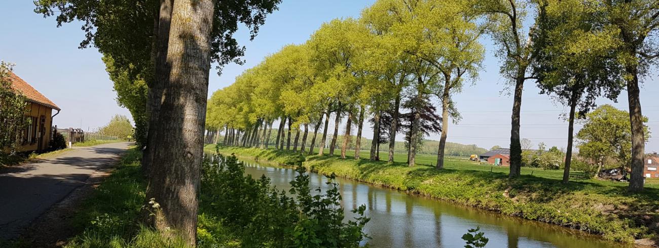 Dwars door de Boerenbuiten © Ester Blomme