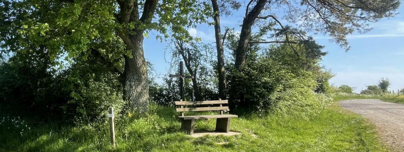 Aandachtig leven, niet vergeten dat de grond waarop we staan, heilige grond is, fundament om te leven. © jh
