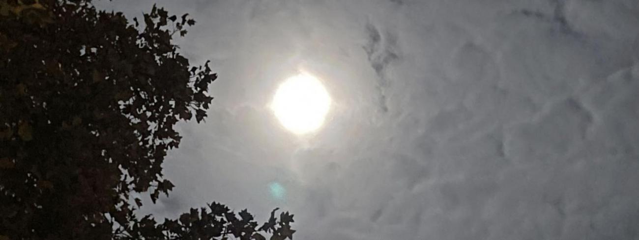 Zacht als het licht van de maan, versluierd door een nachtelijke hemel, lachen zo de heiligen ons toe?  © jh