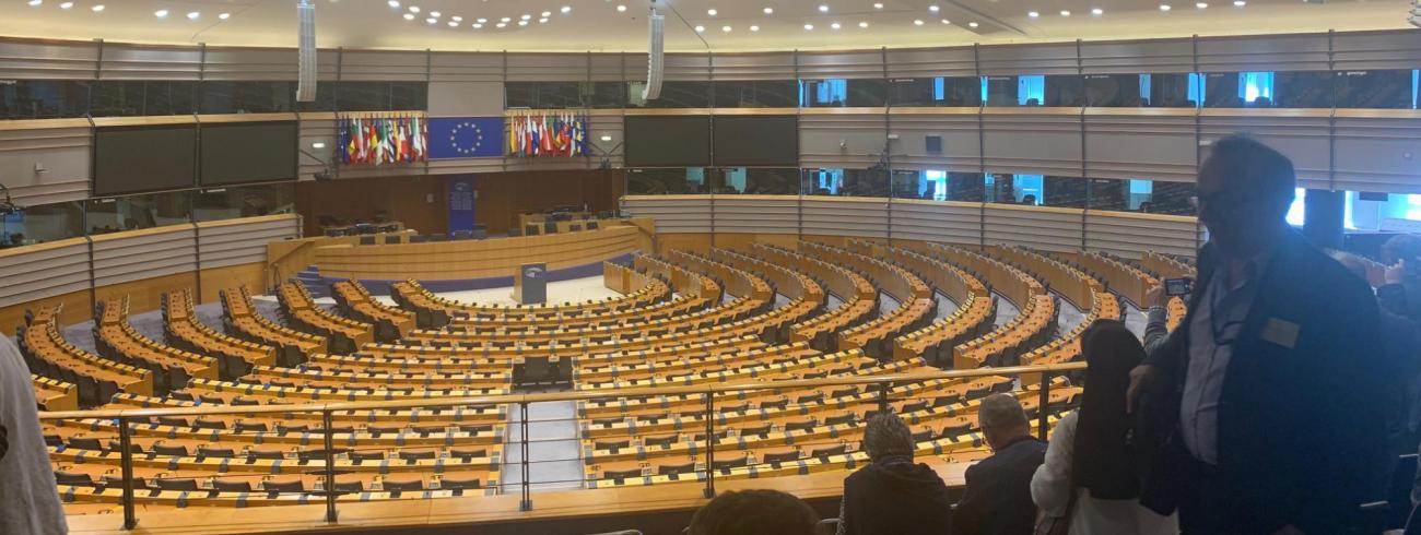 Het bezoek aan het Europees Parlement 