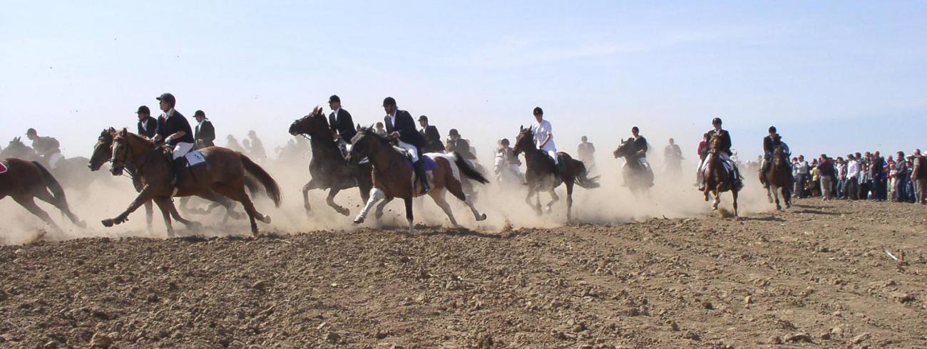 De paardengalop op de Tiense berg © Paardenprocessie Hakendover