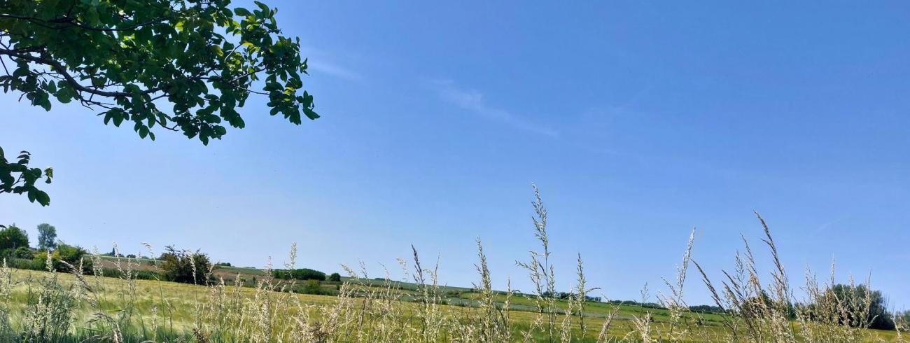 Ecokerkwandeling - natuur in Ninove 