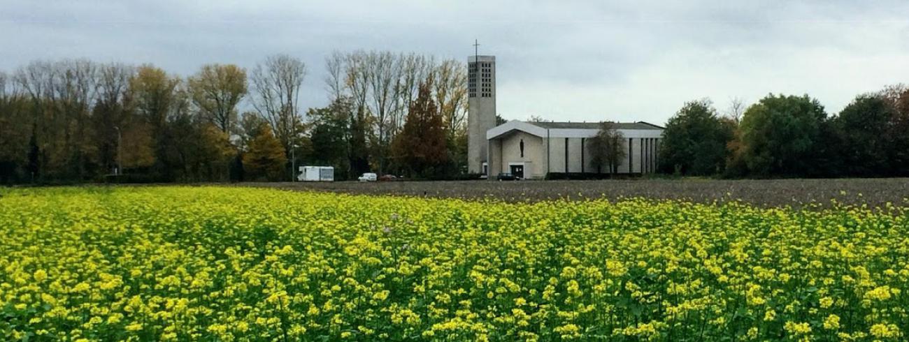 uitzicht op Ten Bos 