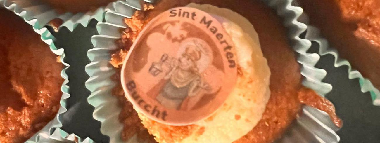 sint maarten burcht 2 © vicariaat onderwijs gent
