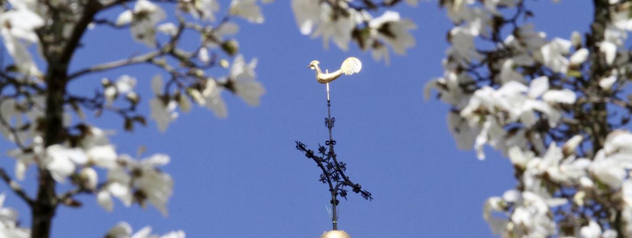 Toren Sint-Quintinuskathedraal Hasselt © @PE Virga Jesse Hasselt