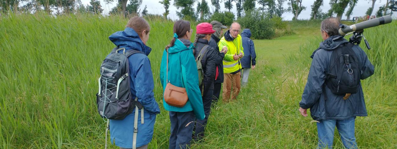 Ecokerkwandeling in het natuurgebied Kwetshage © Mattias Lelie