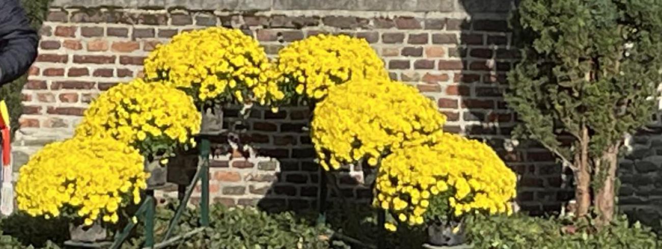 Viering Wapenstilstand 