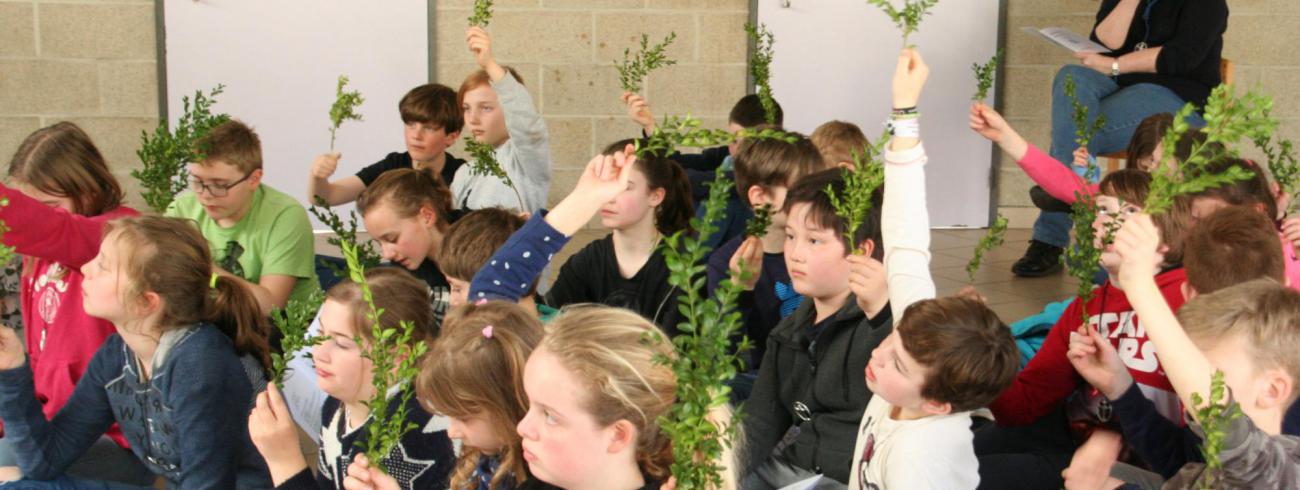We vieren palmzondag 