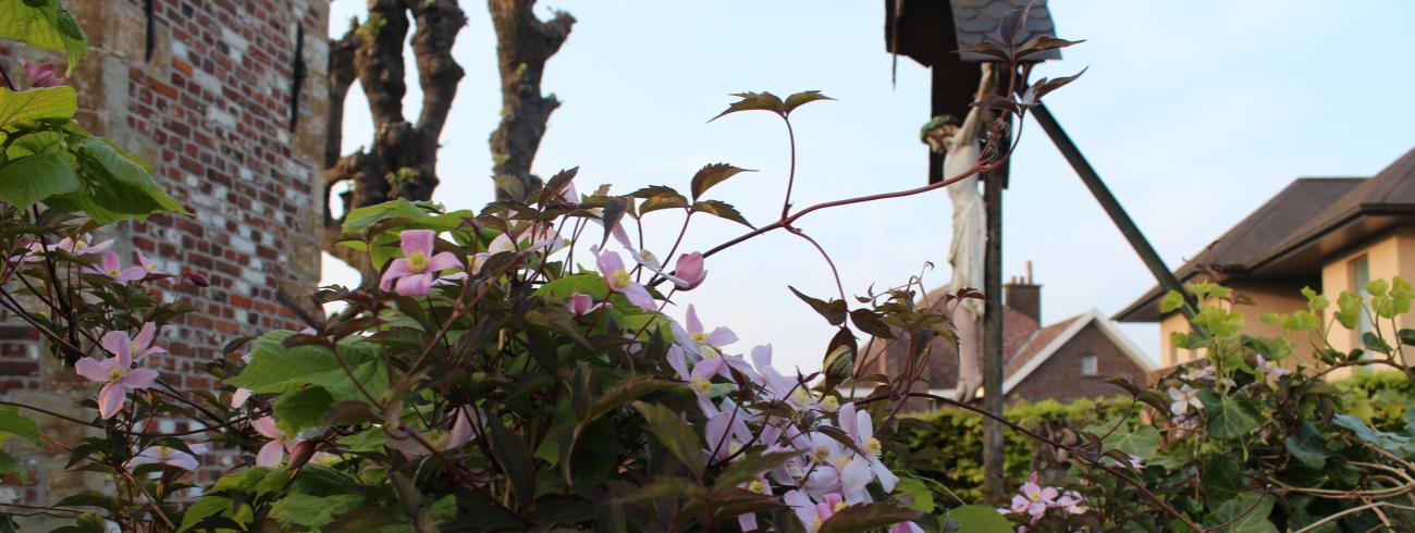 Ommegang Mere © ADV