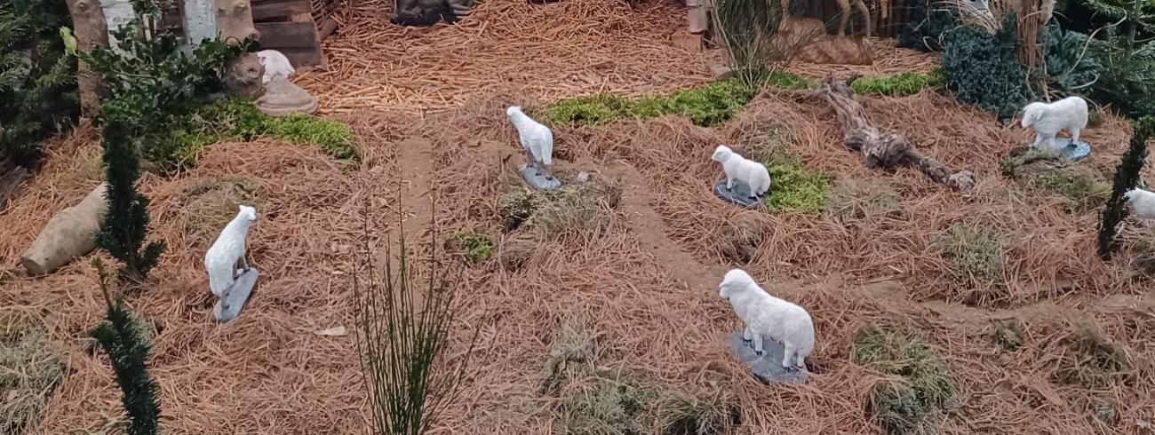 Onze kerststal in de kerk. © Heidi Claessen