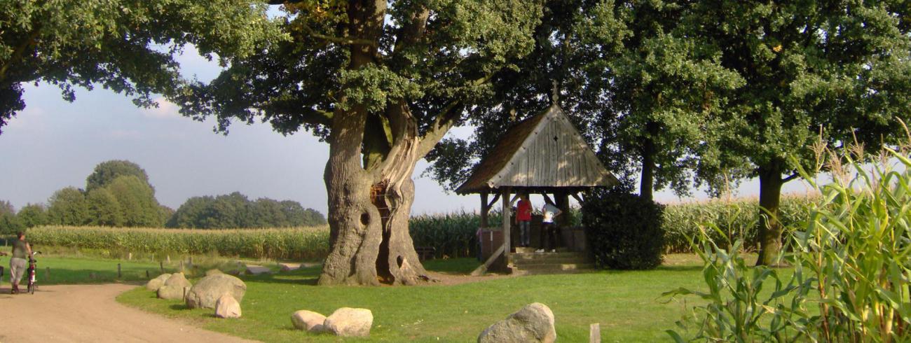 Kroezeboom in Fleringen. © WikiCommons