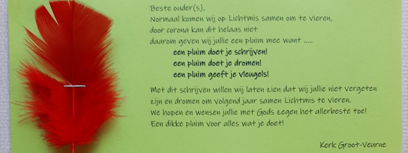 lichtmis pluim 