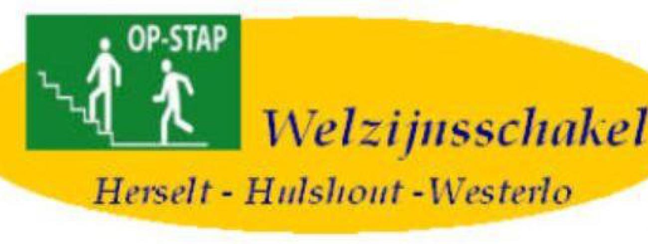 WZS Logo © WZS