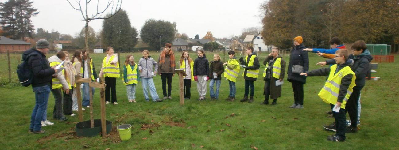 Laudato Si boom © parochie onze lieve Vrouw Lichtaart
