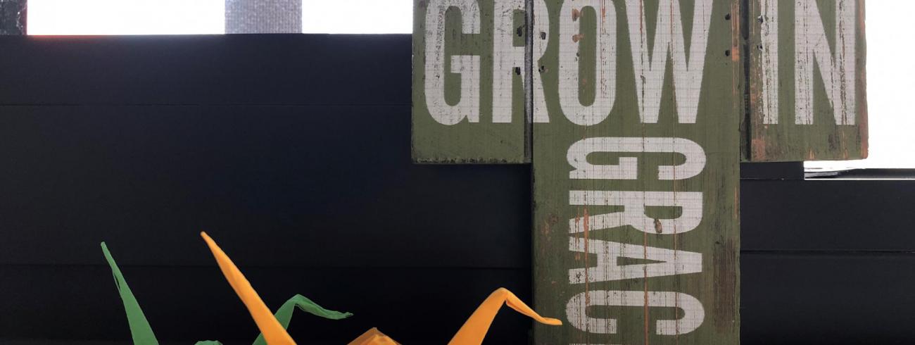 Leven over de dood heen 