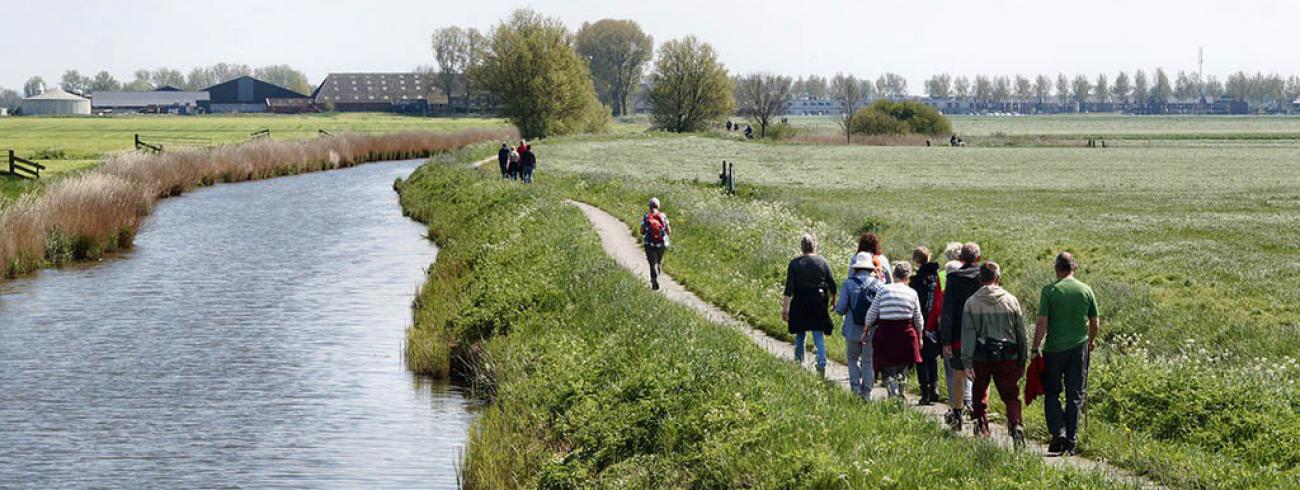 Samen stappen we de sterke tijden tegemoet. Als pelgrims onderweg, pelgrimeren we, langs onze levens- of pelgrimstocht. 