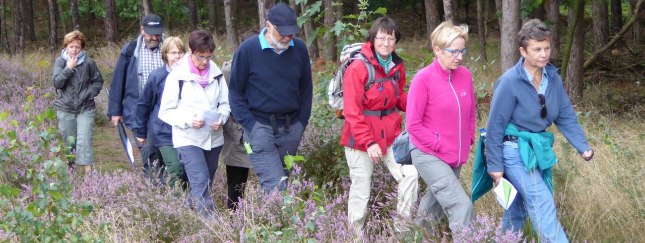 Op zaterdag 15 september zet de diocesane werkgroep pelgrimspastoraal het nieuwe werkjaar in met een pelgrimswandeling in Molenbeersel. © Diocesane werkgroep Pelgrimspastoraal