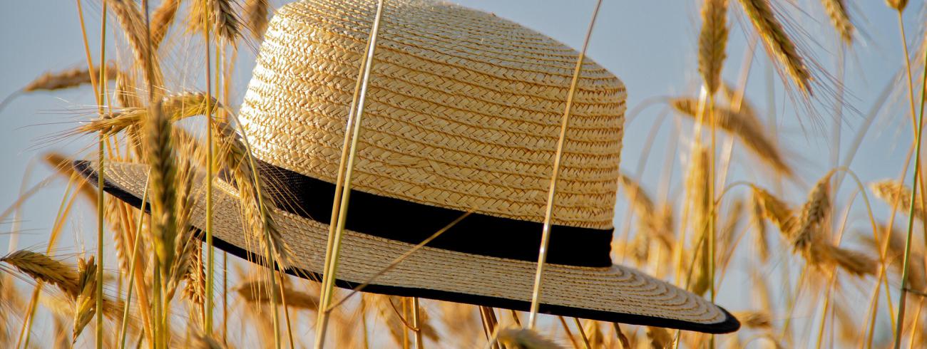 Vakantie © PE Sint-Germanus Ardooie