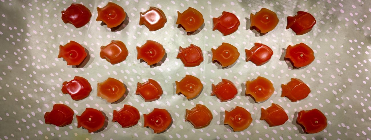 Instap4ing Eerste Communie (Ten Bos 2023) 