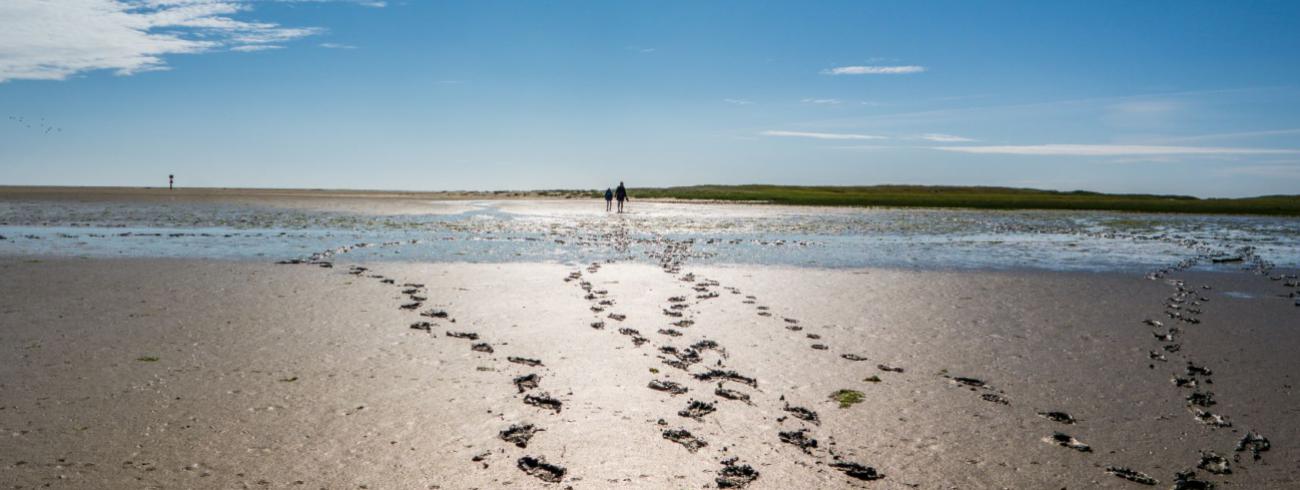 voetstappen zand klein 