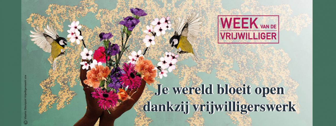 Week van de vrijwilliger © Vlaams Steunpunt Vrijwilligerswerk VZW