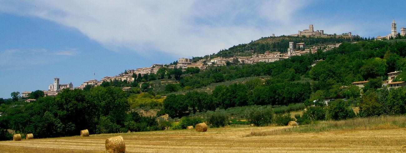 Assisi 