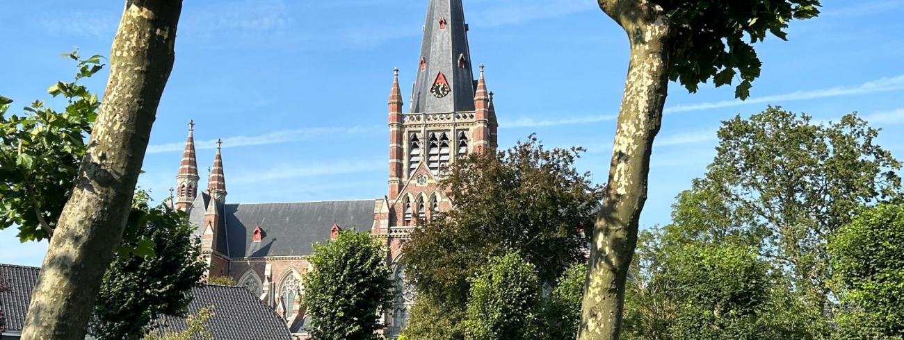 Basiliek vanuit rosariumpark © zrmm