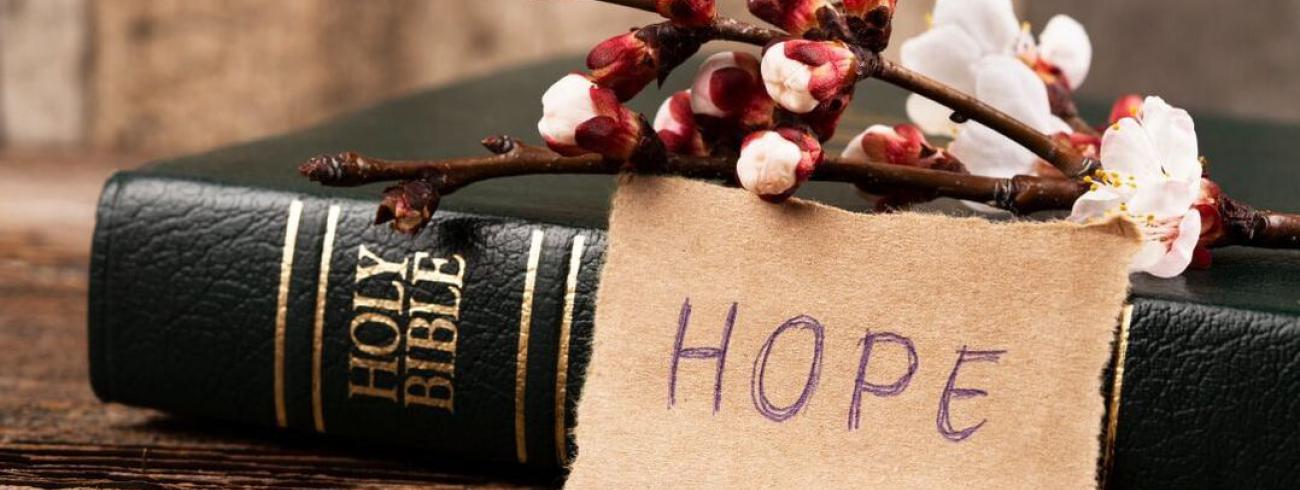 bijbel en hoop 