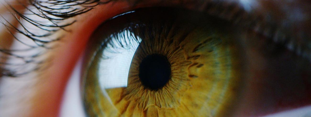 Visioenen © shutterstock_570199003