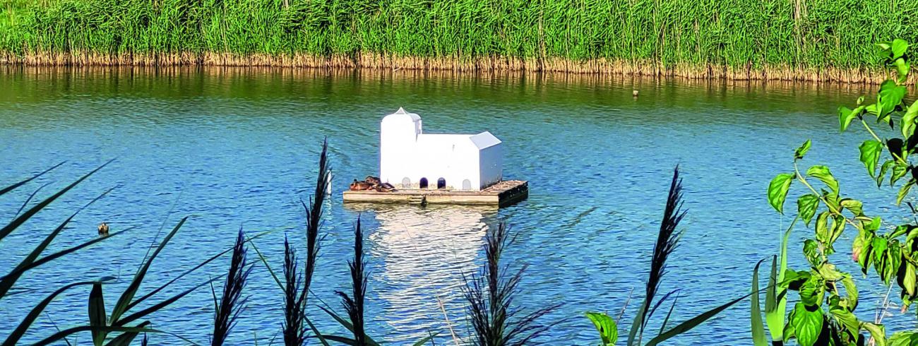 Vandaag voelen vele christenen in het geseculariseerde Europa als "in ballingschap" © Ilse Van Halst