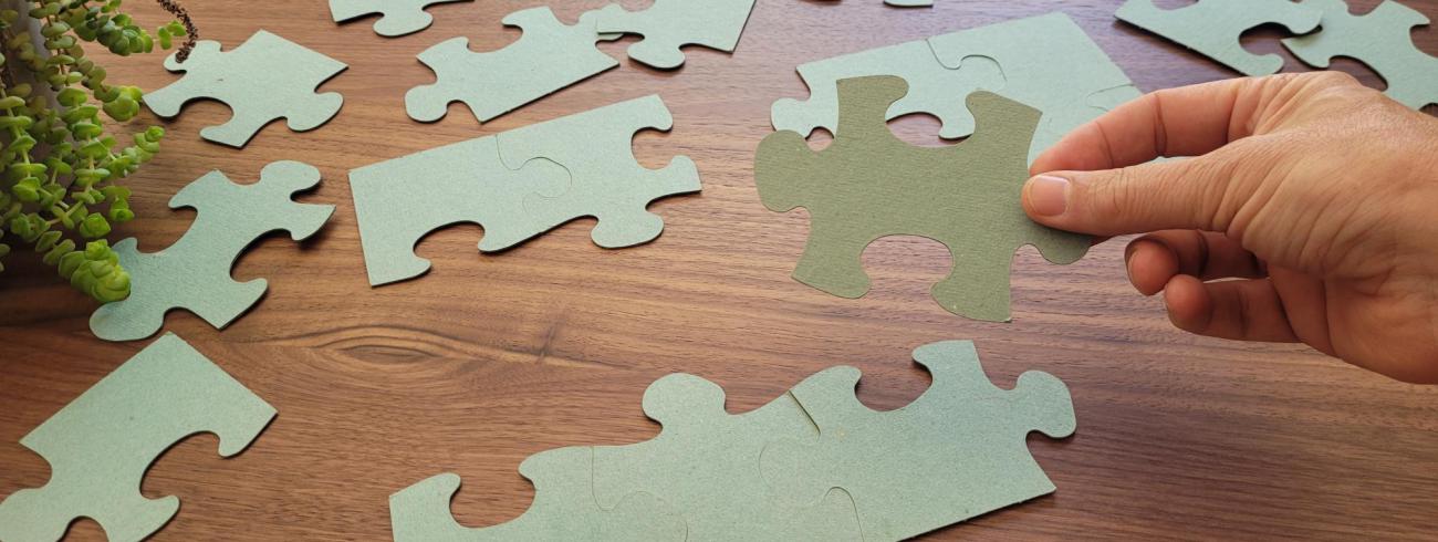 Puzzel © Ilse Van Halst