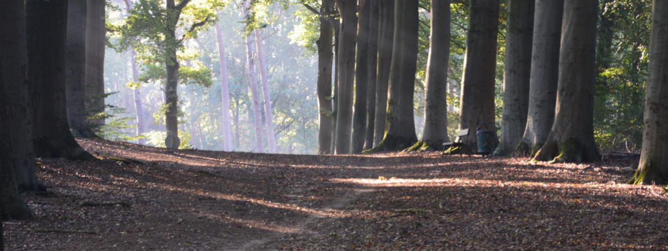 Hoge mouw © Liesbeth van Reusel