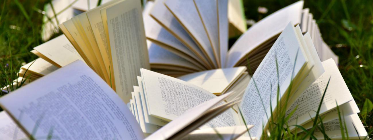 Boeken en vakantie ... dat is pas op reis gaan. © CC Pexels