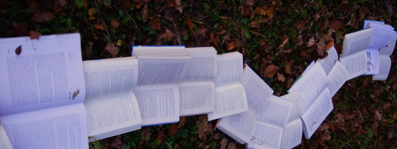 Boeken wijzen de weg. © Photo by Laura Kapfer on Unsplash