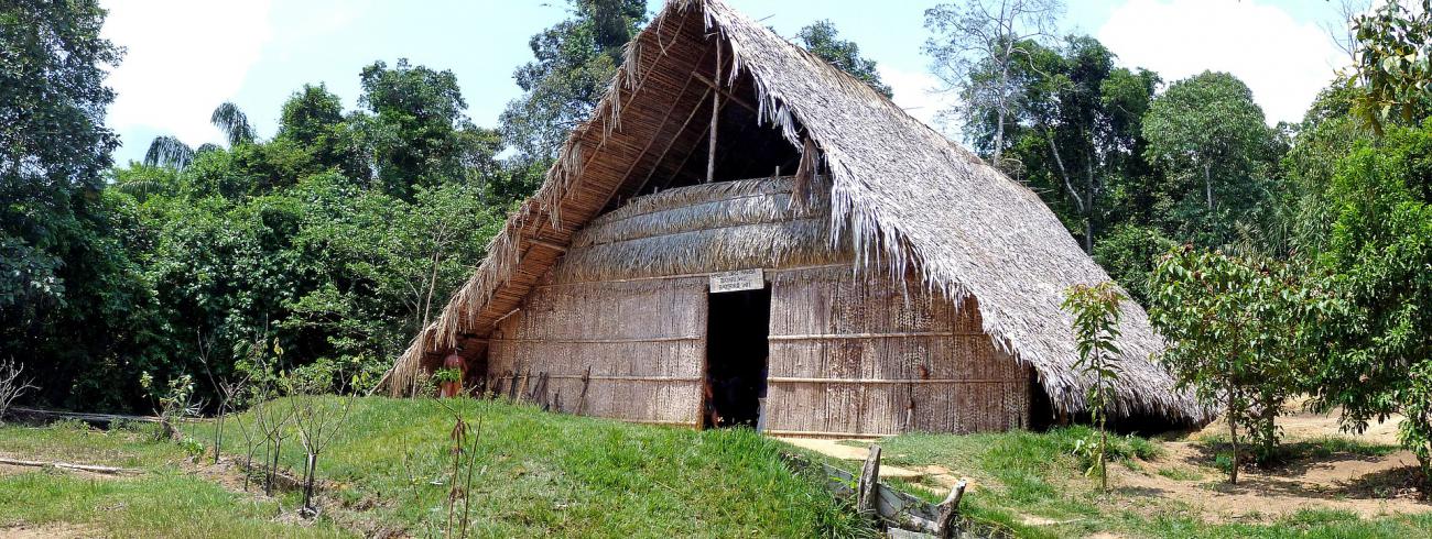 Brazilië - traditioneel huis in regenwoud © CC Pixabay