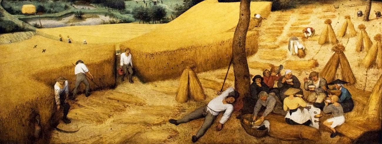 Pieter Bruegel de Oude, De oogst, 1565, Metropolitan Museum of Art te New York 
