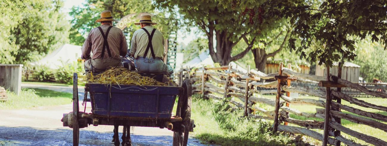 Inspiratie op woensdag 