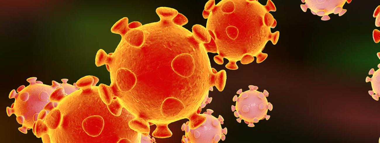 Coronavirus 