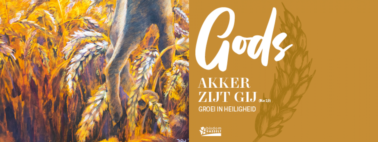 Jaarthema bisdom Hasselt. Gods akker zijt Gij. Groei in heiligheid © bisdom hasselt