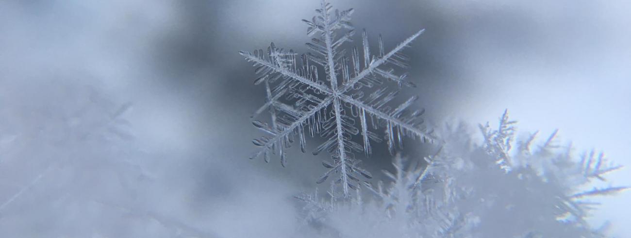 Inspiratie op woensdag 